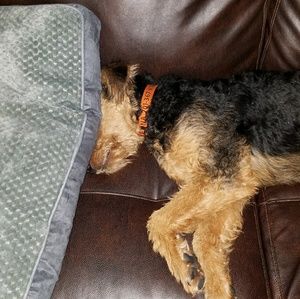 Meet your Posher, Mickie